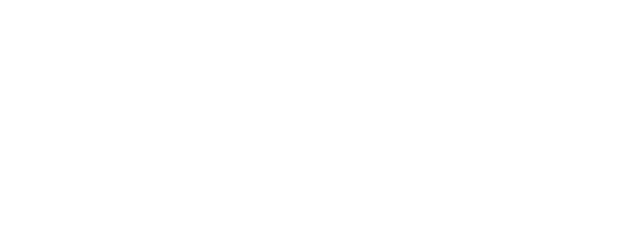 El Pocico