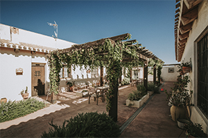patio01