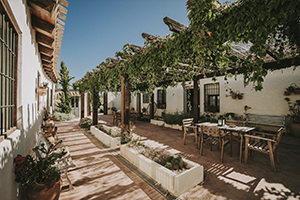 patio02