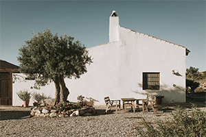 rincon01